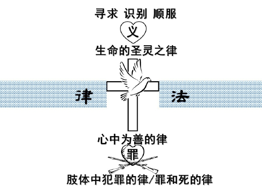 E5BE8BE6B395.jpg